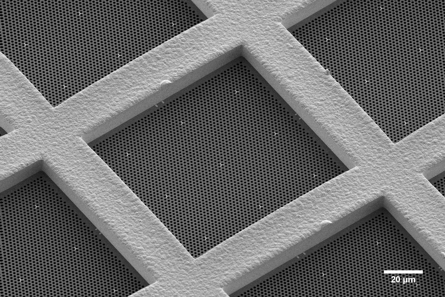 All-gold TEM grid, 200 mesh, with 1 um holes for cryo-CLEM (25 pack)