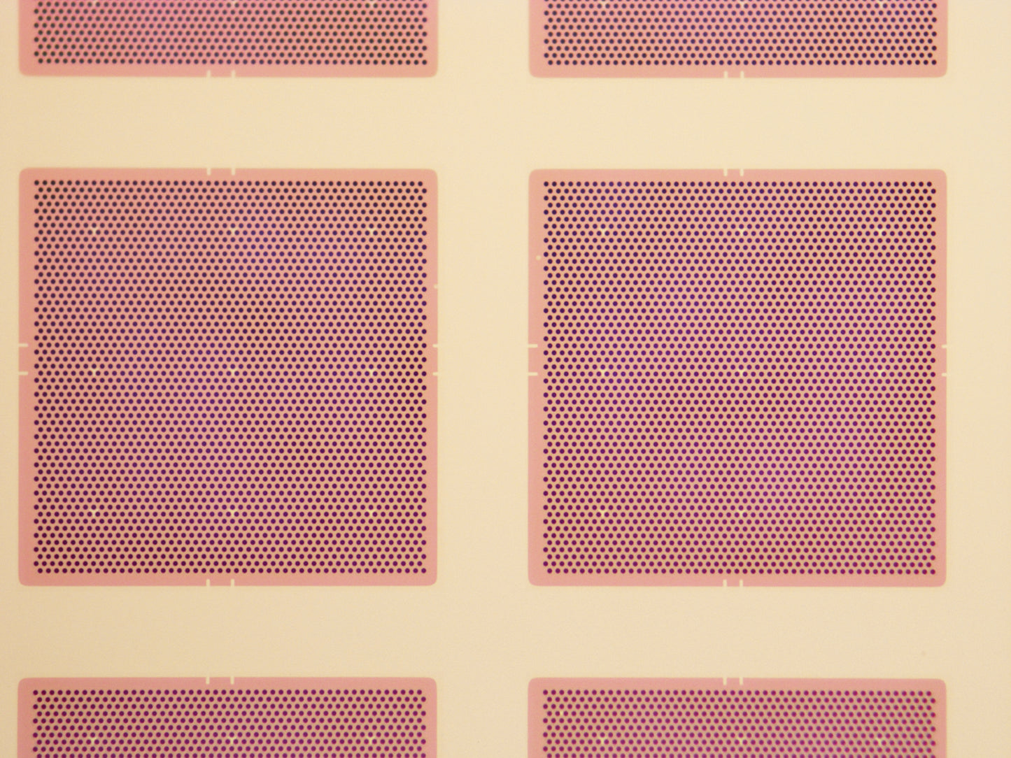 All-gold TEM grid, 200 mesh, with 1 um holes for cryo-CLEM (25 pack)