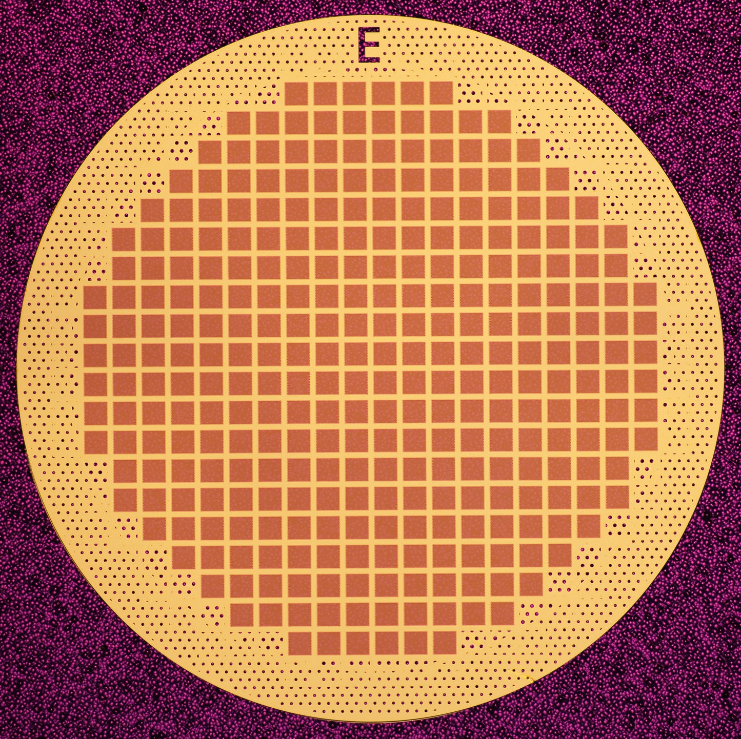 All-gold TEM grid, 200 mesh, with 1 um holes for cryo-CLEM (25 pack)