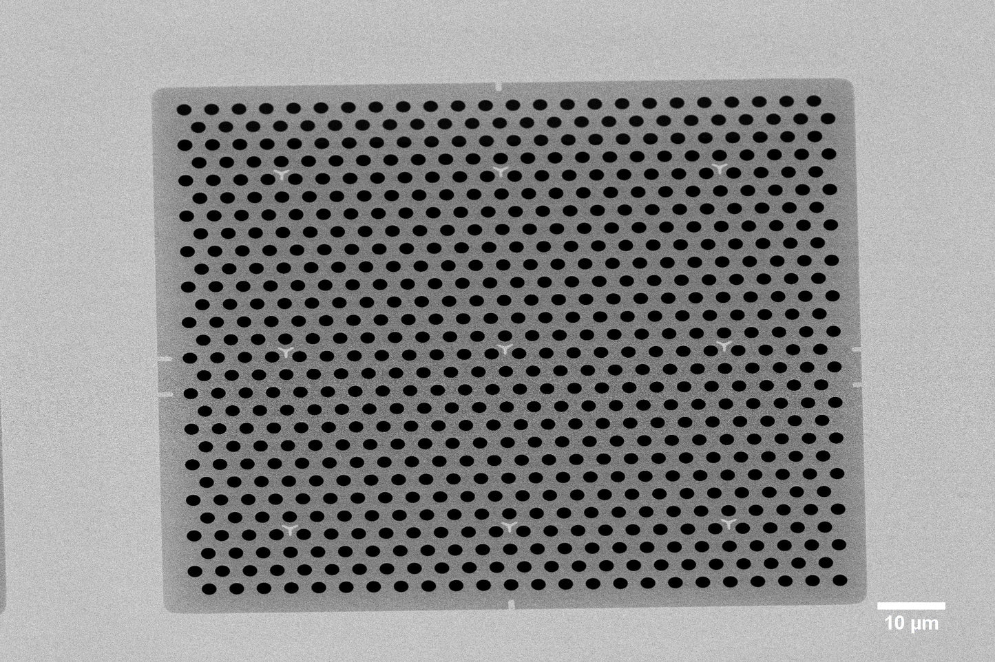 All-gold TEM grid, 200 mesh, with 2 um holes for cryo-CLEM (25 pack)
