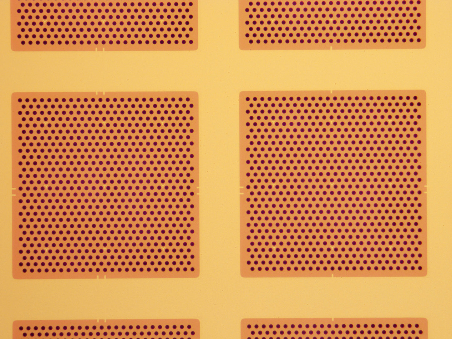 All-gold TEM grid, 200 mesh, with 2 um holes for cryo-CLEM (25 pack)