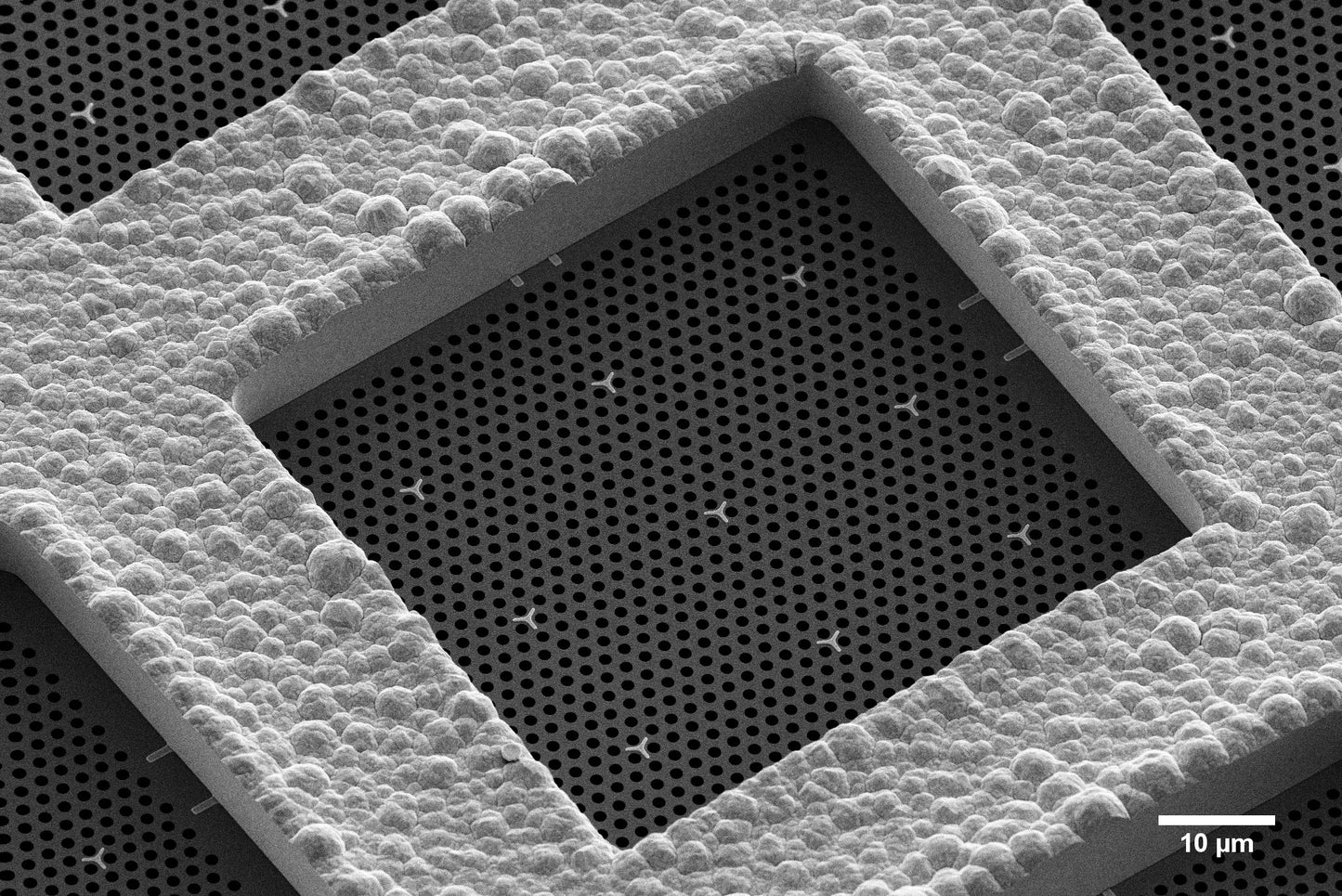 All-gold TEM grid, 300 mesh, with 1 um holes for cryo-CLEM (25 pack)