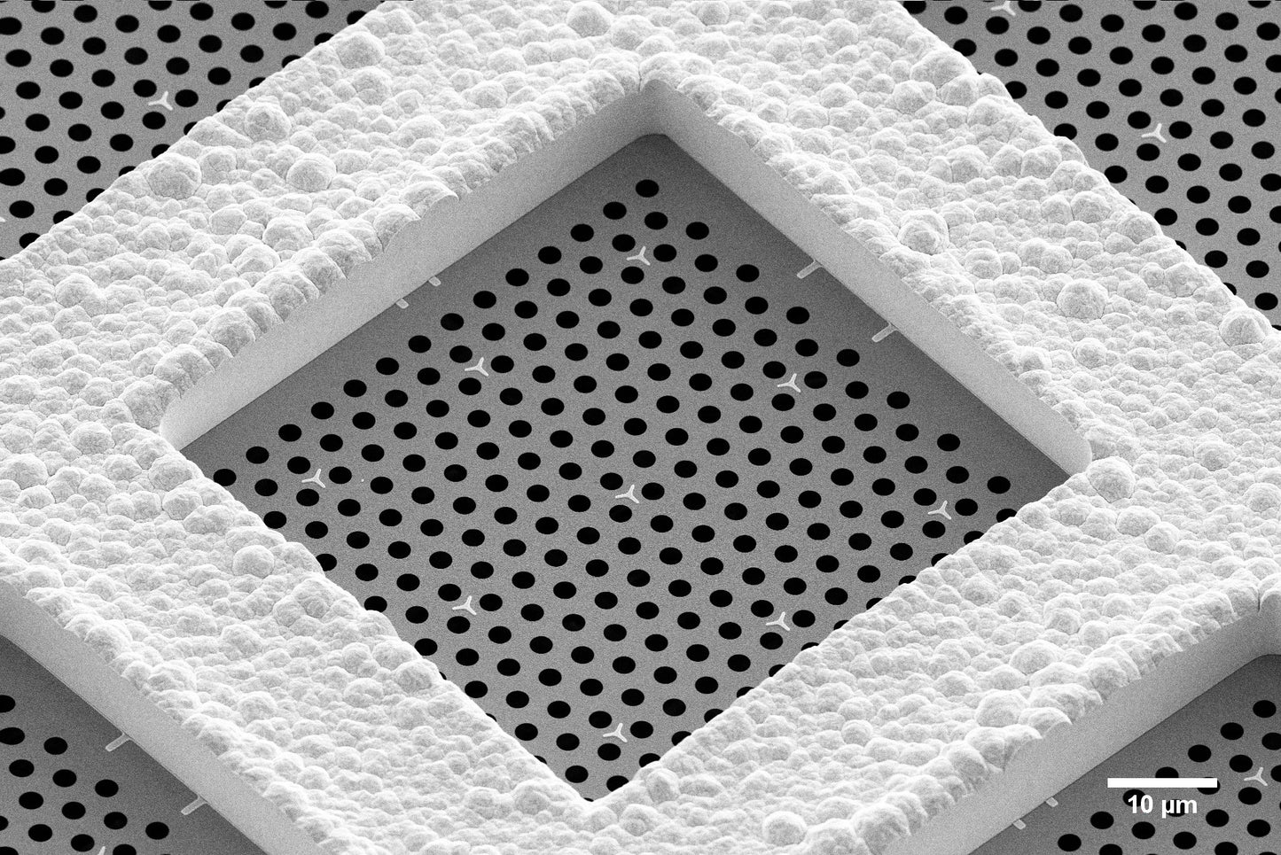 All-gold TEM grid, 300 mesh, with 2 um holes for cryo-CLEM (25 pack)