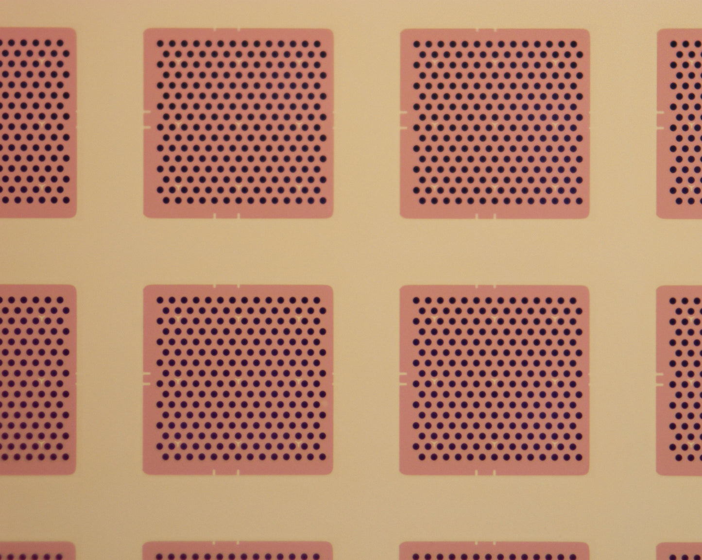 All-gold TEM grid, 300 mesh, with 2 um holes for cryo-CLEM (25 pack)