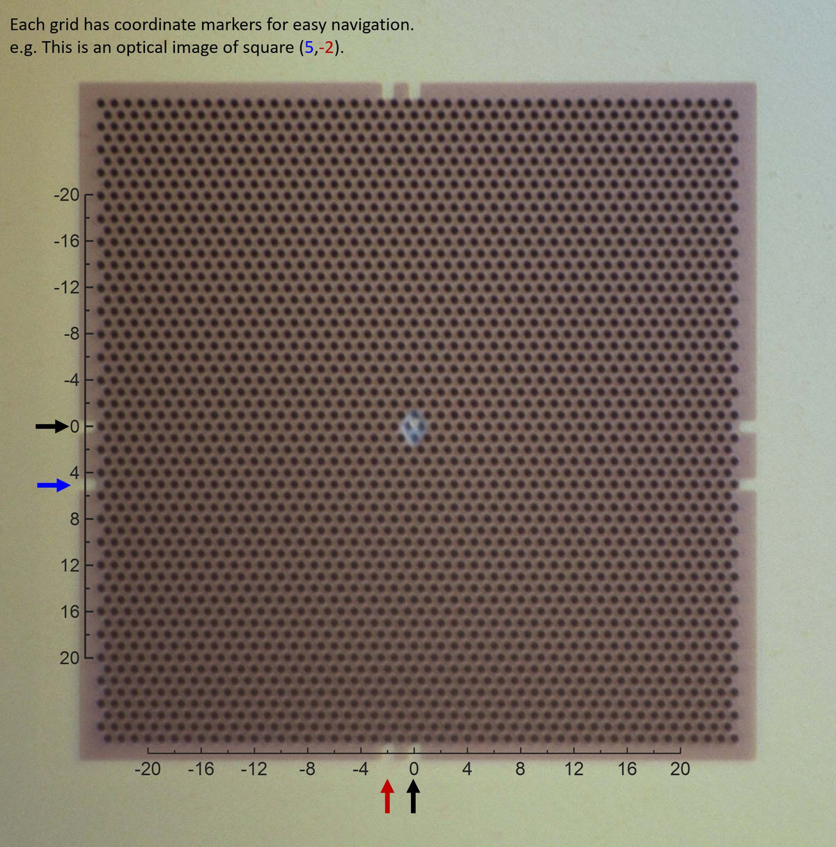All-gold TEM grid, 300 mesh, with 600 nm holes (25 pack)