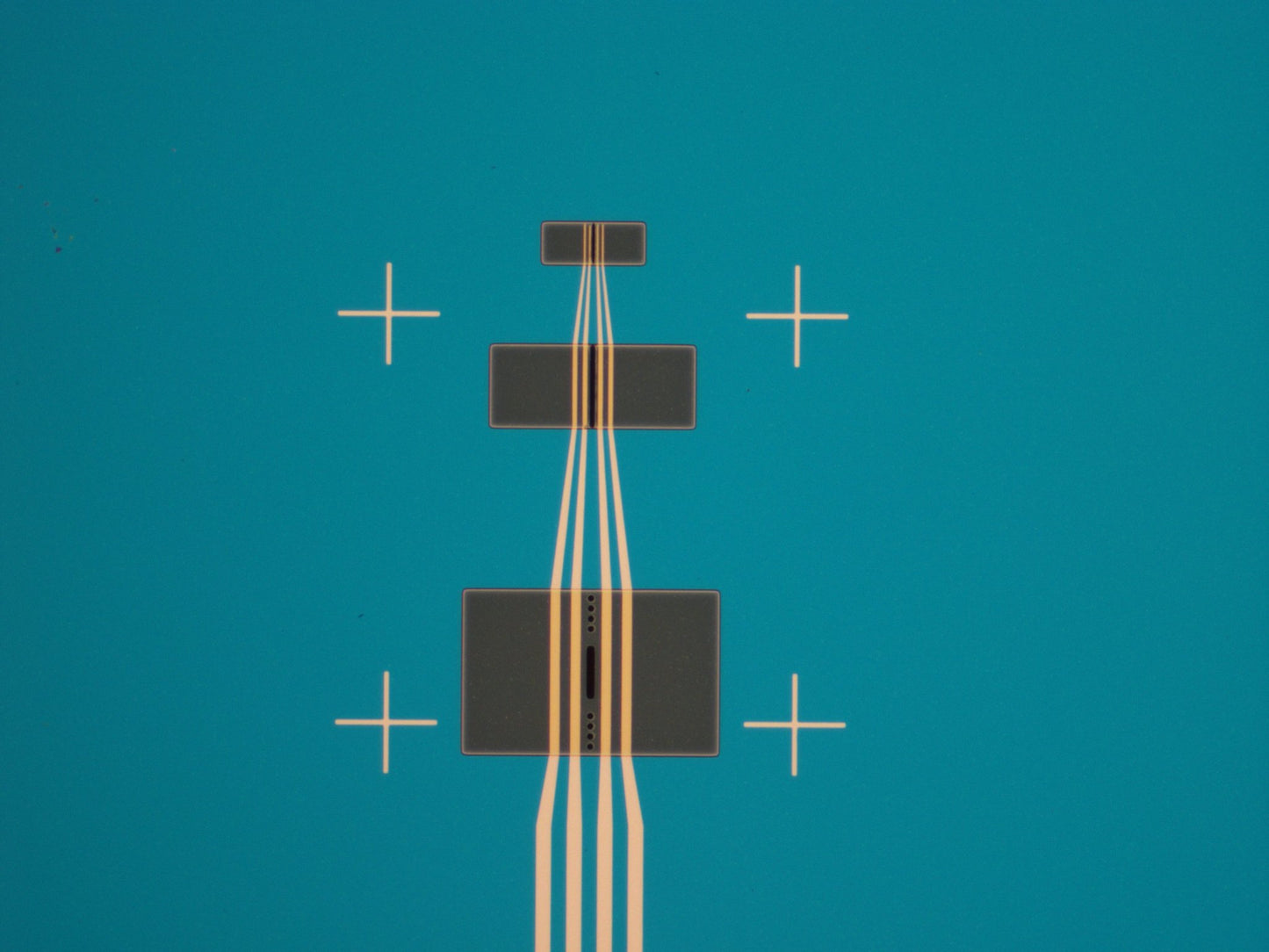 In-situ TEM grid with four electrical contacts (5 pack)