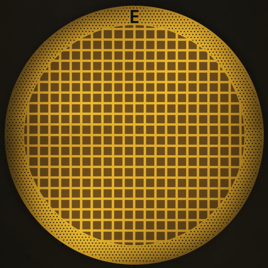 All-gold TEM grid, 200 mesh, with 1 um holes for cryo-CLEM (25 pack)