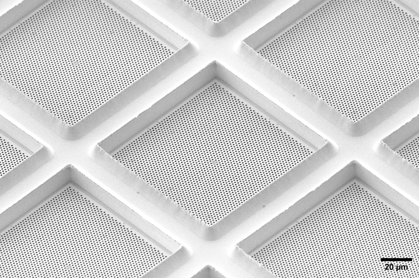 All-gold TEM grid, 200 mesh, with 1 um holes for cryo-CLEM (25 pack)