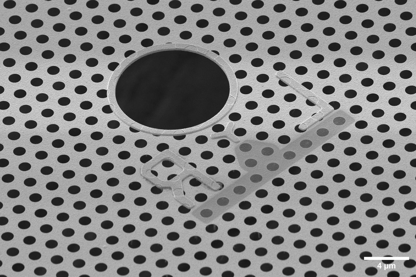 All-gold TEM grid, 200 mesh, with 1 um holes for cryo-CLEM (25 pack)