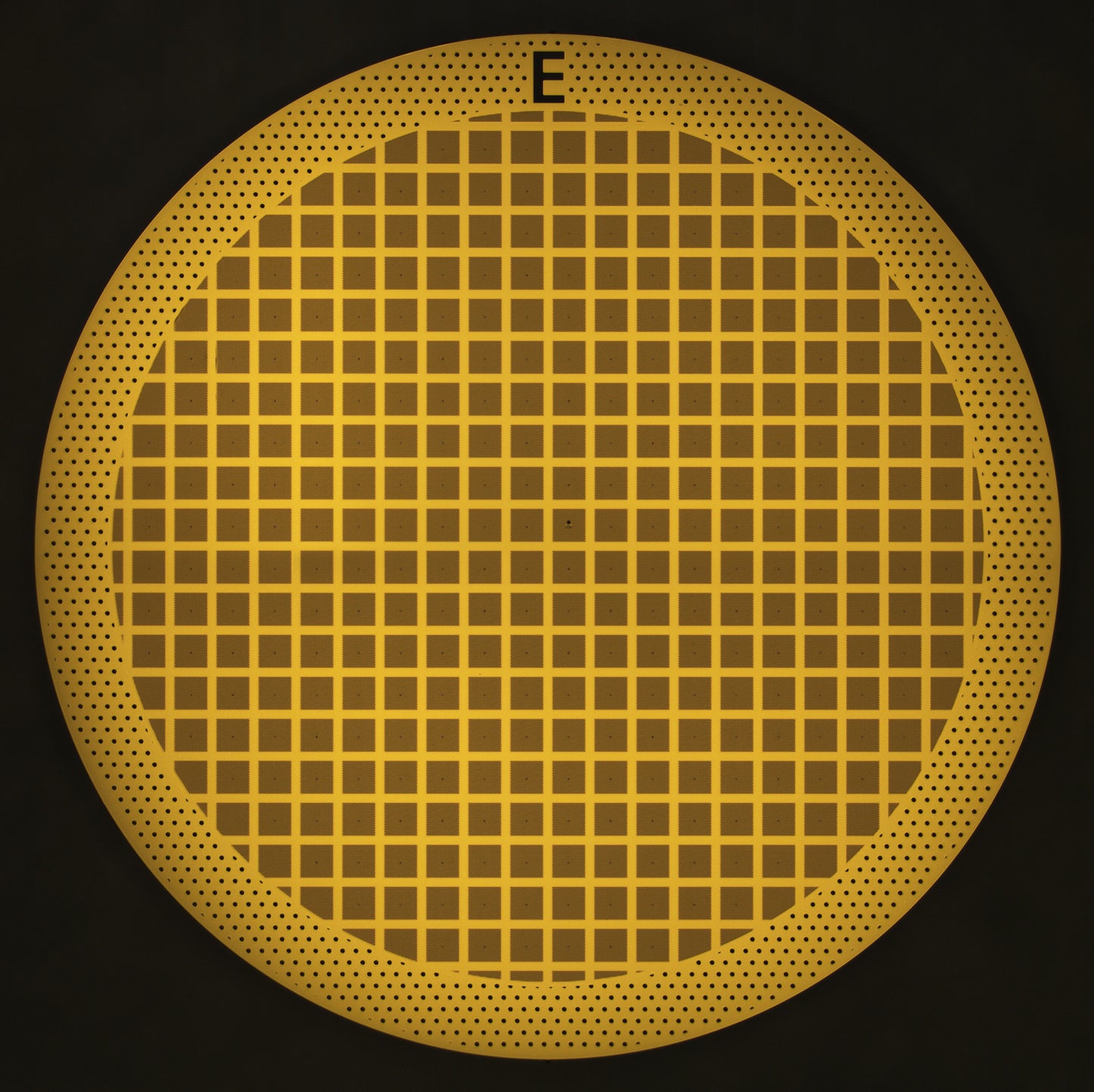 All-gold TEM grid, 200 mesh, with 2 um holes for cryo-CLEM (25 pack)