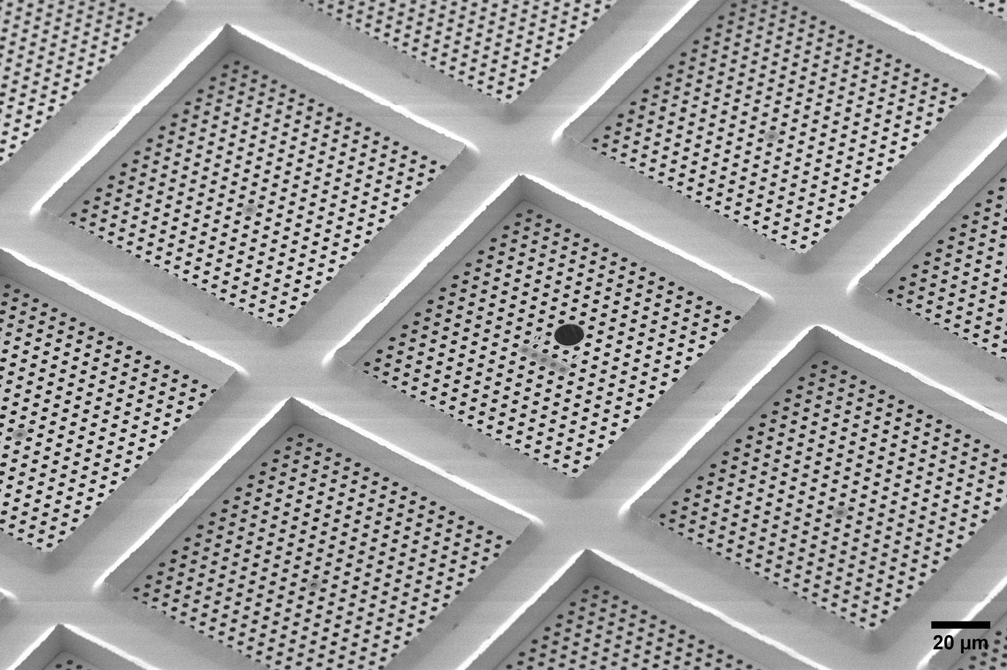 All-gold TEM grid, 200 mesh, with 2 um holes for cryo-CLEM (25 pack)