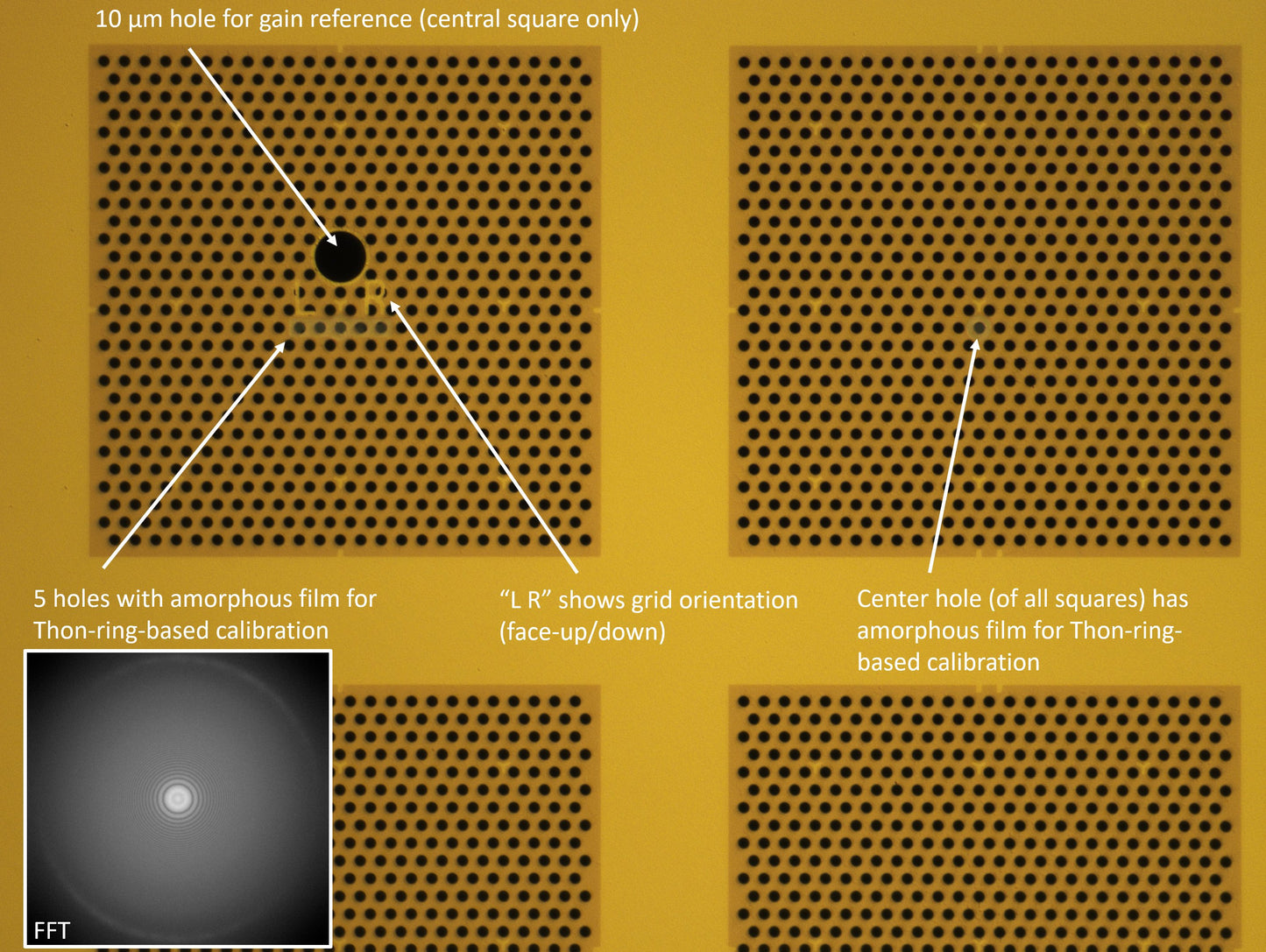 All-gold TEM grid, 200 mesh, with 2 um holes for cryo-CLEM (25 pack)