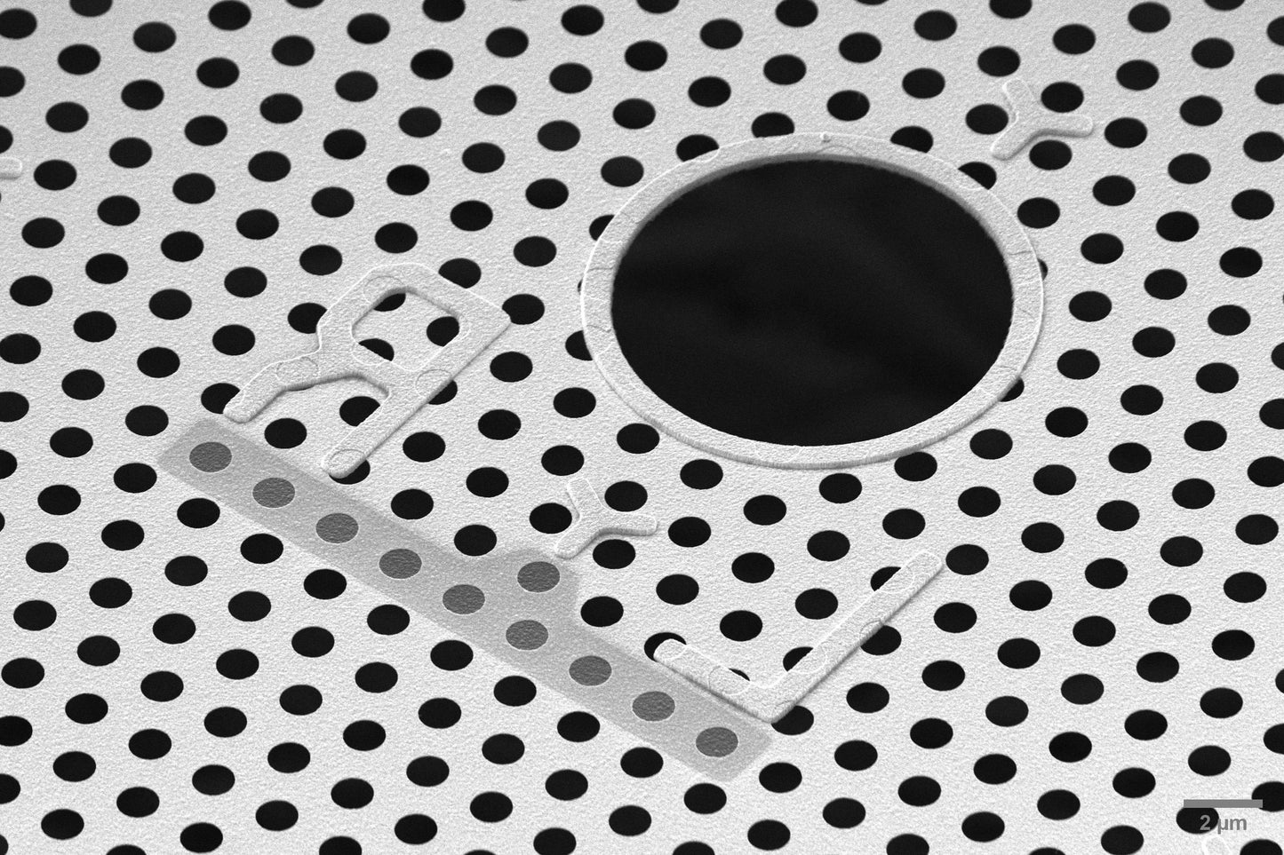 All-gold TEM grid, 300 mesh, with 1 um holes for cryo-CLEM (25 pack)