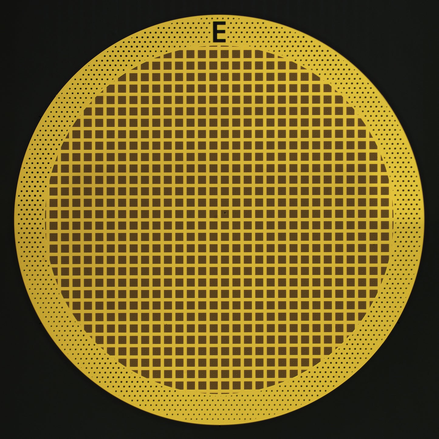 All-gold TEM grid, 300 mesh, with 1 um holes for cryo-CLEM (25 pack)