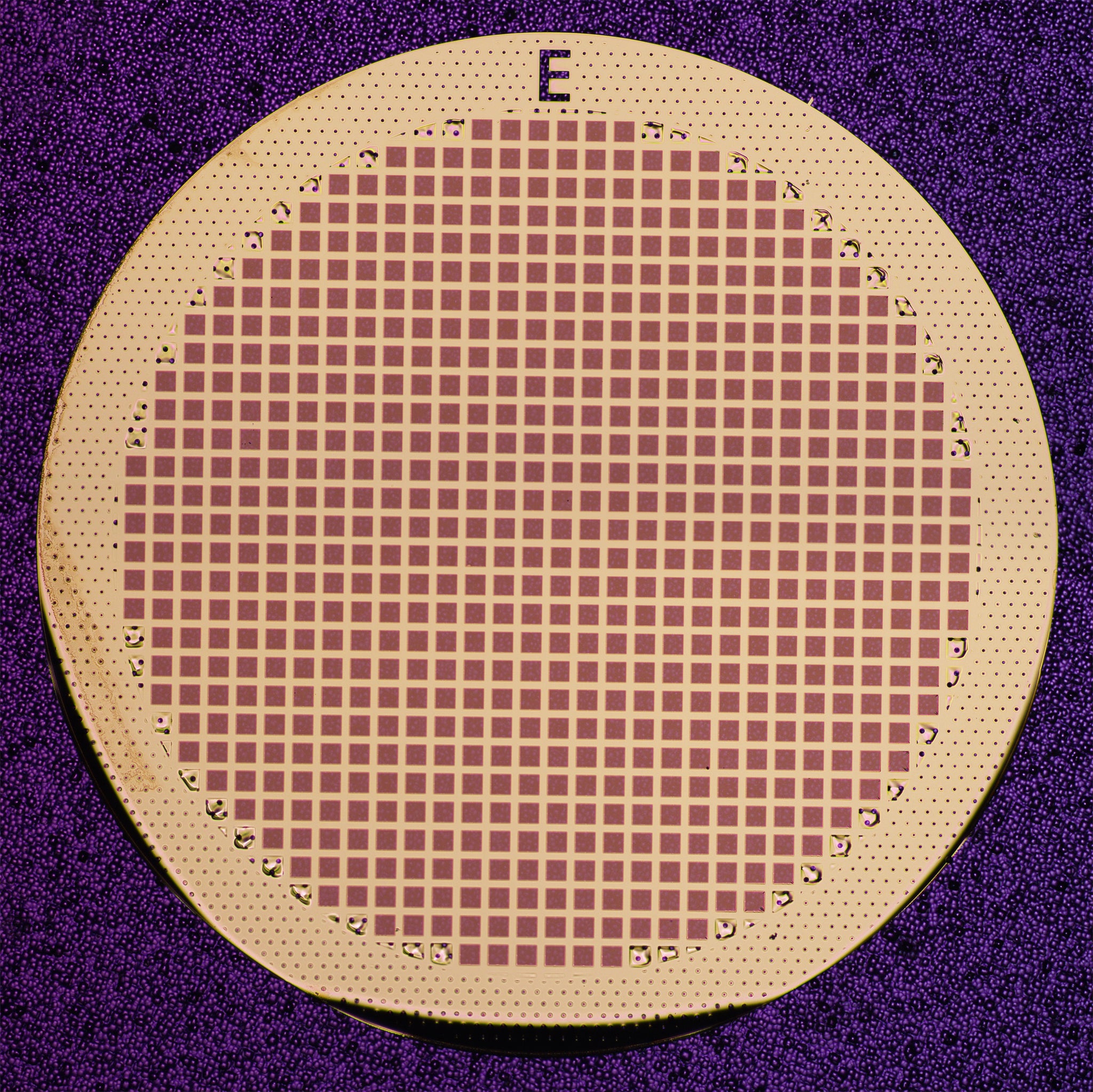 All-gold TEM grid, 300 mesh, with 1 um holes for cryo-CLEM (25 pack ...