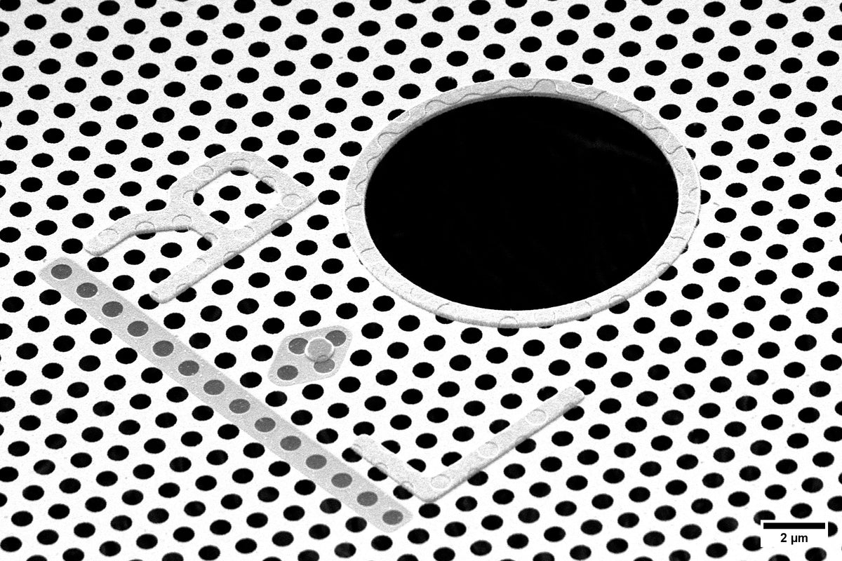 All-gold TEM grid, 300 mesh, with 600 nm holes (25 pack)