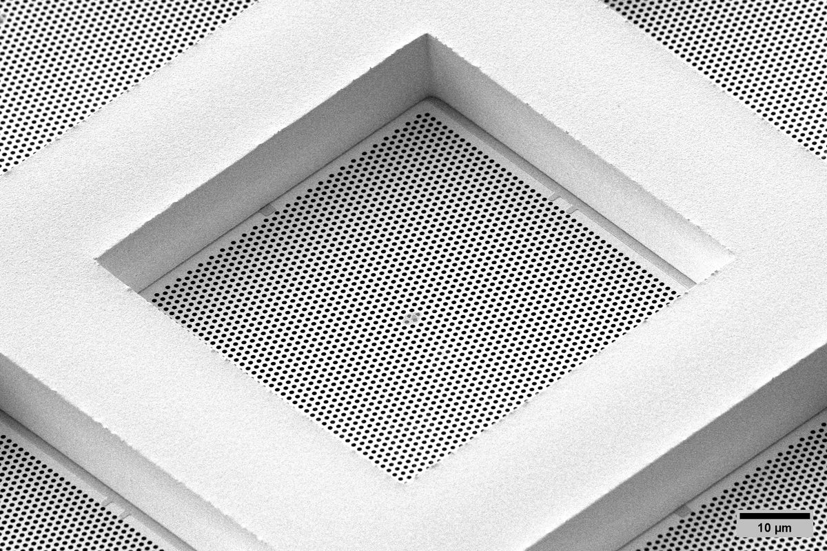 All-gold TEM grid, 300 mesh, with 600 nm holes (25 pack)