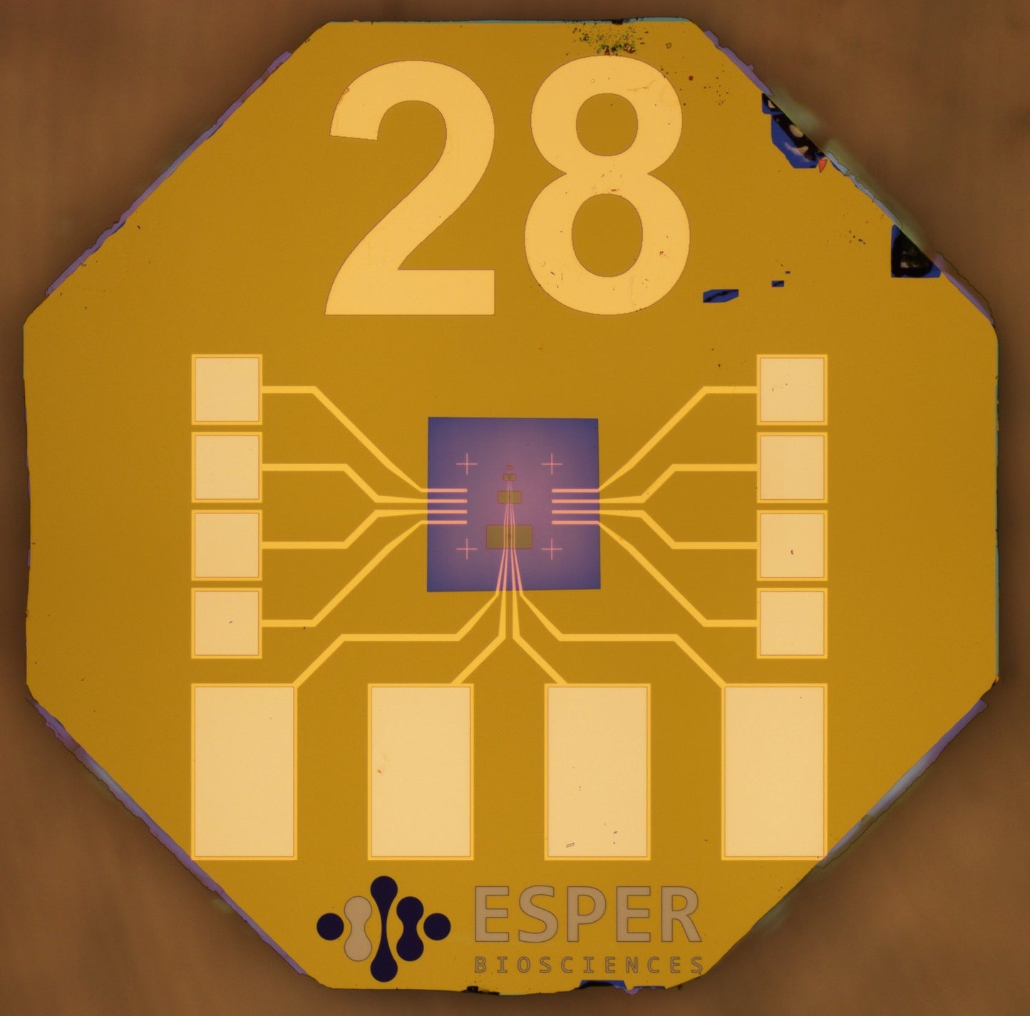 Ex-situ TEM grid with four electrical contacts (6 pack)